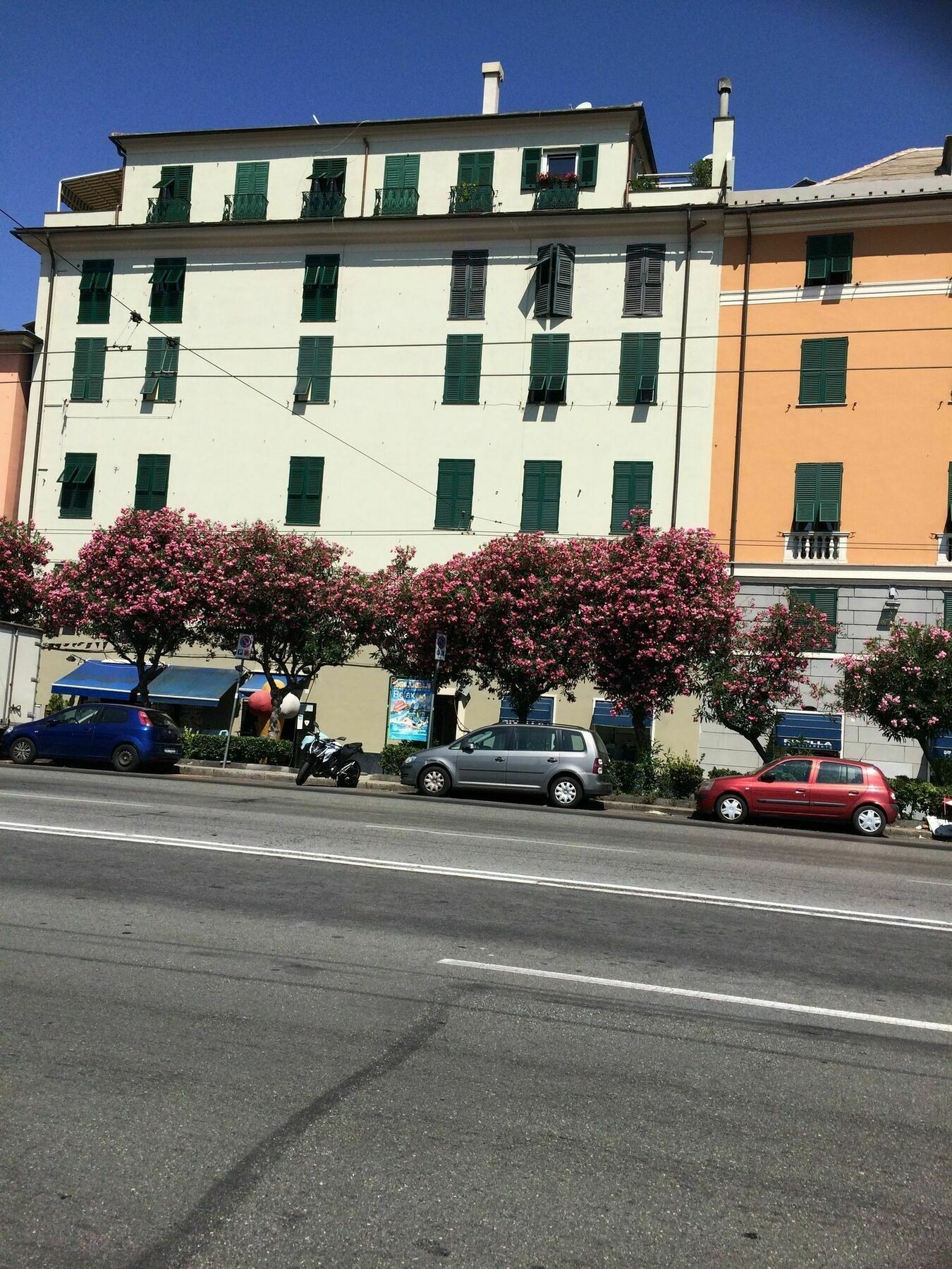 Ariadimare Genoa Luaran gambar